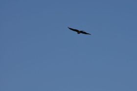 20081203_1