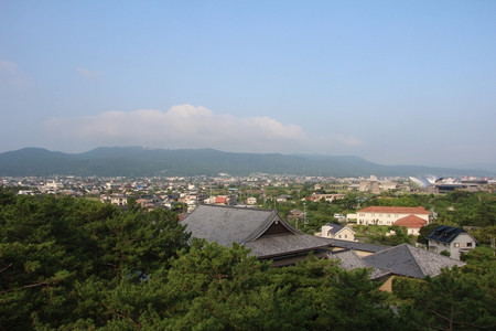 朝