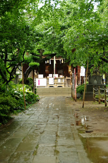 Imgp0381