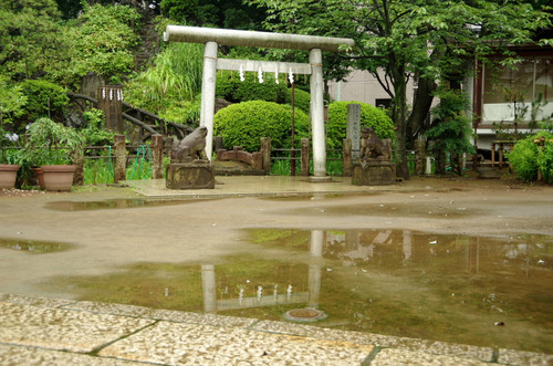 Imgp0385