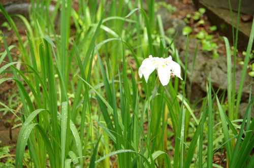 Imgp0389