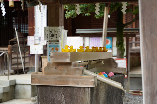 Dsc01902