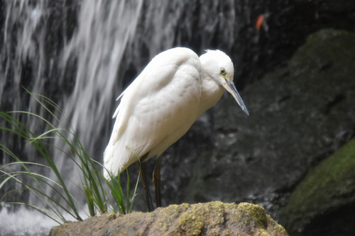 Dsc_0995 Dsc_0995