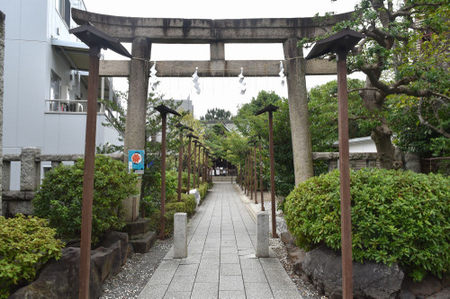 Krm_0173