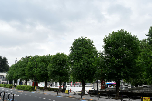 Krm_0195