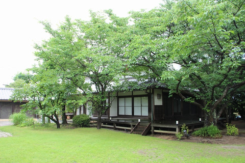 Kashino11