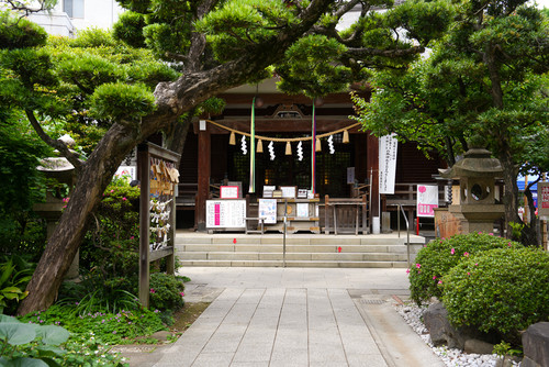 20250522dsc08187