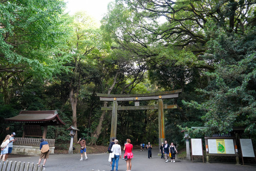 20250910dsc08713
