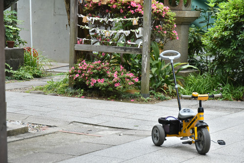 Dsc_7040 Dsc_7040