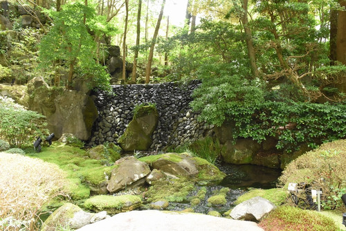 Garden01