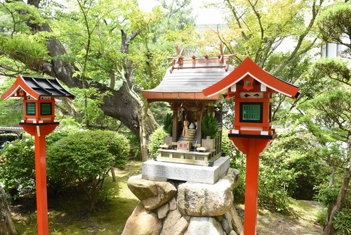 Garden06