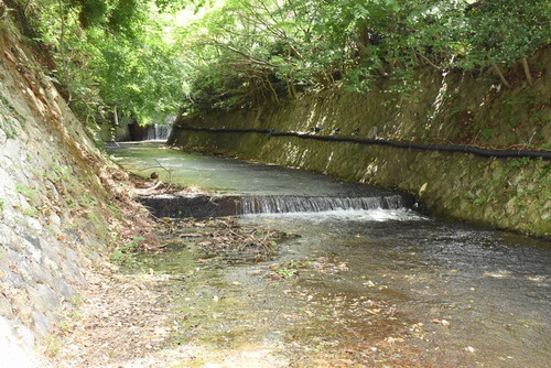 River03