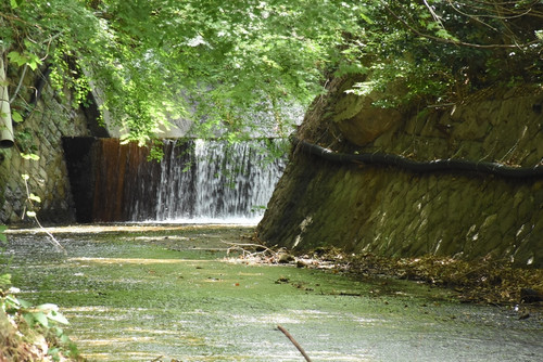 River04