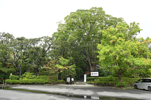 Dsc_6951_3679 Dsc_6951_3679