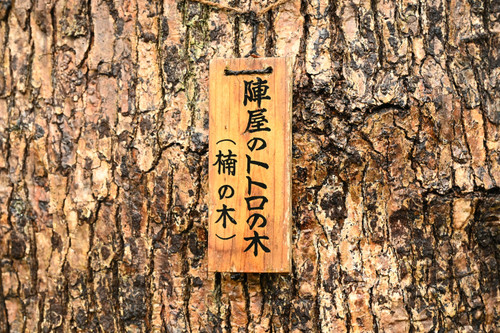 Dsc_6961_3683_2