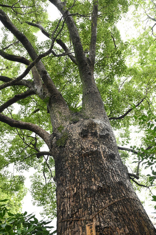 Dsc_6962_3684_2 Dsc_6962_3684_2