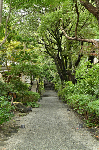 Dsc_6963_3685