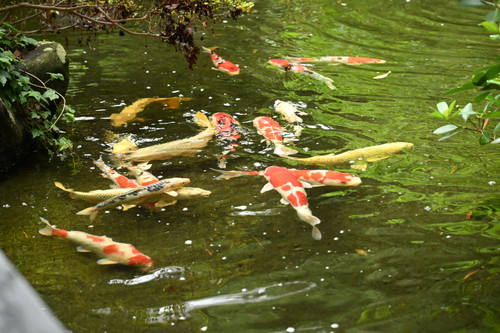 Dsc_6970_3687