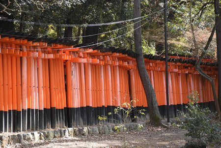 Torii03