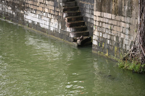 Dsc_7799_657