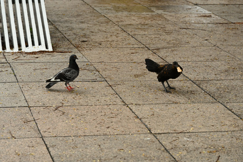 Dsc_8981_566