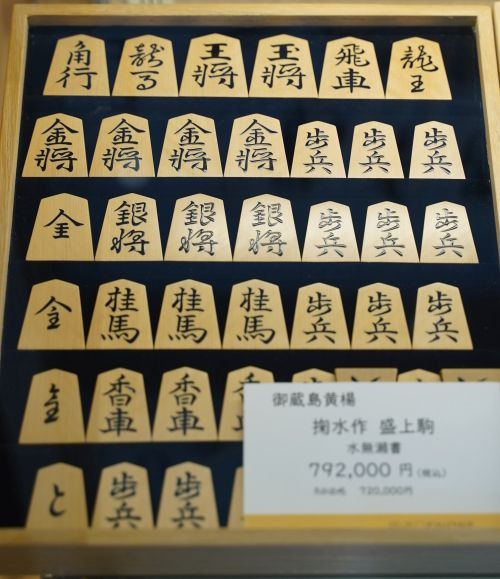 Yak09035