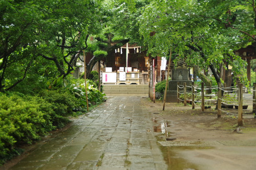 Imgp0380