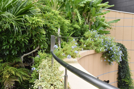 Garden03