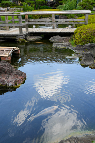 20250710dsc02290